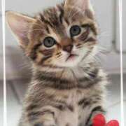 ヒメ日記 2025/08/11 20:21 投稿 ゆうこ 西船人妻花壇