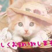 ヒメ日記 2025/08/27 16:34 投稿 ゆうこ 西船人妻花壇