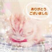 ヒメ日記 2025/09/10 22:24 投稿 ゆうこ 西船人妻花壇