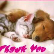 ヒメ日記 2025/09/19 19:46 投稿 ゆうこ 西船人妻花壇