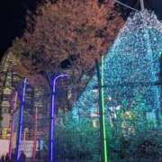 ヒメ日記 2024/12/09 04:41 投稿 らん 西船人妻花壇