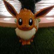 ヒメ日記 2025/01/29 20:28 投稿 らん 西船人妻花壇