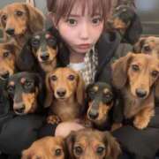 ヒメ日記 2026/05/16 03:47 投稿 みり 西船人妻花壇
