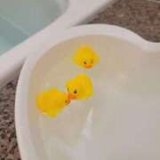 ヒメ日記 2026/03/22 12:51 投稿 めい 西船人妻花壇