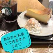 ヒメ日記 2025/08/08 14:31 投稿 えりな 西船人妻花壇