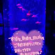 ヒメ日記 2025/09/29 20:02 投稿 えりな 西船人妻花壇