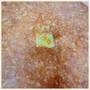 ヒメ日記 2024/12/25 16:55 投稿 みゆ 西船人妻花壇