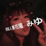 ヒメ日記 2025/09/08 15:19 投稿 みゆ 西船人妻花壇