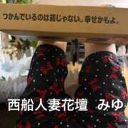 ヒメ日記 2026/07/22 17:42 投稿 みゆ 西船人妻花壇