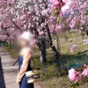 ヒメ日記 2025/03/10 13:41 投稿 るり 奥鉄オクテツ東京店（デリヘル市場）