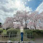 ヒメ日記 2025/04/03 18:53 投稿 るり 奥鉄オクテツ東京店（デリヘル市場）