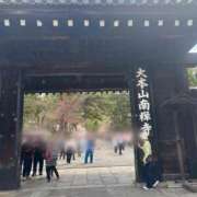 ヒメ日記 2025/04/04 11:13 投稿 るり 奥鉄オクテツ東京店（デリヘル市場）