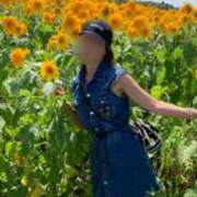 ヒメ日記 2025/07/09 01:16 投稿 るり 奥鉄オクテツ東京店（デリヘル市場）