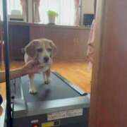 ヒメ日記 2025/07/14 10:05 投稿 るり 奥鉄オクテツ東京店（デリヘル市場）