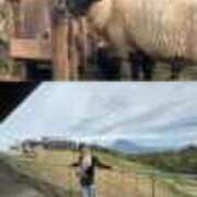 ヒメ日記 2025/09/18 16:48 投稿 るり 奥鉄オクテツ東京店（デリヘル市場）