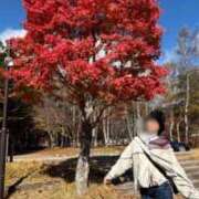 ヒメ日記 2025/11/09 04:31 投稿 るり 奥鉄オクテツ東京店（デリヘル市場）