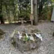 ヒメ日記 2025/11/18 19:47 投稿 るり 奥鉄オクテツ東京店（デリヘル市場）