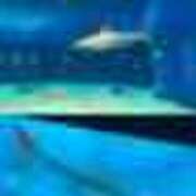 ヒメ日記 2025/12/19 22:50 投稿 るり 奥鉄オクテツ東京店（デリヘル市場）