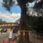 ヒメ日記 2026/01/01 11:43 投稿 るり 奥鉄オクテツ東京店（デリヘル市場）