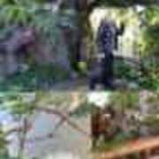 ヒメ日記 2026/01/16 18:21 投稿 るり 奥鉄オクテツ東京店（デリヘル市場）