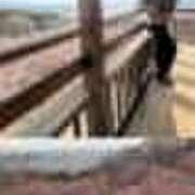 ヒメ日記 2026/02/12 04:26 投稿 るり 奥鉄オクテツ東京店（デリヘル市場）