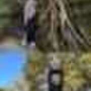 ヒメ日記 2026/02/16 16:28 投稿 るり 奥鉄オクテツ東京店（デリヘル市場）