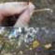 ヒメ日記 2026/03/13 19:55 投稿 るり 奥鉄オクテツ東京店（デリヘル市場）