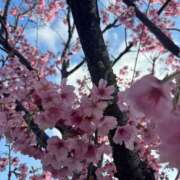 ヒメ日記 2026/03/28 09:26 投稿 るり 奥鉄オクテツ東京店（デリヘル市場）