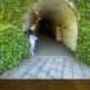 ヒメ日記 2026/05/31 08:12 投稿 るり 奥鉄オクテツ東京店（デリヘル市場）