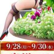 ヒメ日記 2026/09/29 08:27 投稿 るり 奥鉄オクテツ東京店（デリヘル市場）