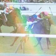 ヒメ日記 2024/12/22 19:04 投稿 なほ 西船人妻花壇