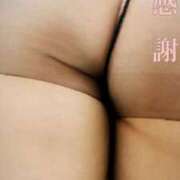 ヒメ日記 2025/02/08 23:18 投稿 なほ 西船人妻花壇