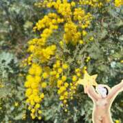 ヒメ日記 2025/03/10 22:46 投稿 なほ 西船人妻花壇