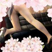 ヒメ日記 2025/03/20 09:05 投稿 なほ 西船人妻花壇