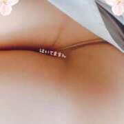 ヒメ日記 2025/03/24 08:02 投稿 なほ 西船人妻花壇