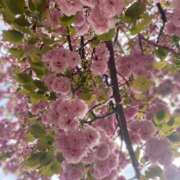 ヒメ日記 2025/04/10 20:28 投稿 なほ 西船人妻花壇