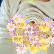 ヒメ日記 2025/04/12 20:50 投稿 なほ 西船人妻花壇