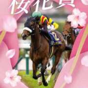 ヒメ日記 2025/04/13 15:12 投稿 なほ 西船人妻花壇