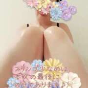 ヒメ日記 2025/04/15 23:53 投稿 なほ 西船人妻花壇