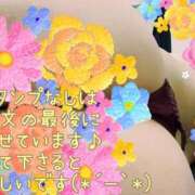 ヒメ日記 2025/04/18 09:23 投稿 なほ 西船人妻花壇