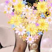 ヒメ日記 2025/04/26 07:50 投稿 なほ 西船人妻花壇