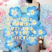 ヒメ日記 2025/05/02 23:46 投稿 なほ 西船人妻花壇