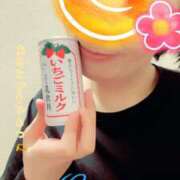 ヒメ日記 2025/05/03 06:02 投稿 なほ 西船人妻花壇