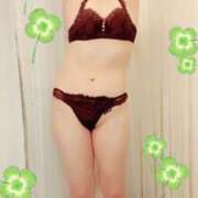 ヒメ日記 2025/05/31 09:31 投稿 なほ 西船人妻花壇