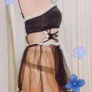 ヒメ日記 2025/06/07 11:30 投稿 なほ 西船人妻花壇