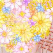 ヒメ日記 2025/07/01 12:35 投稿 なほ 西船人妻花壇