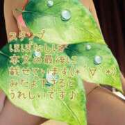 ヒメ日記 2025/07/15 23:49 投稿 なほ 西船人妻花壇