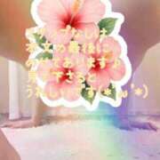 ヒメ日記 2025/07/26 00:24 投稿 なほ 西船人妻花壇