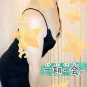 ヒメ日記 2025/07/30 08:34 投稿 なほ 西船人妻花壇