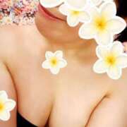 ヒメ日記 2025/08/08 11:05 投稿 なほ 西船人妻花壇